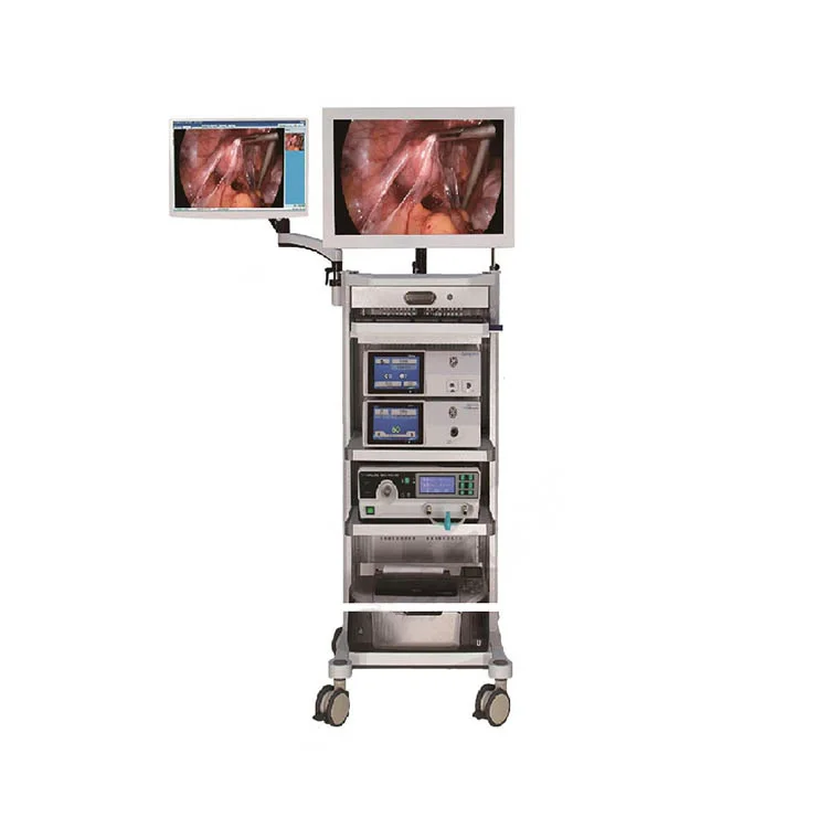 Hot Selling 50 Or 60 Hz Surgery Instruments 1080P Full Hd Endoscopic Imaging System