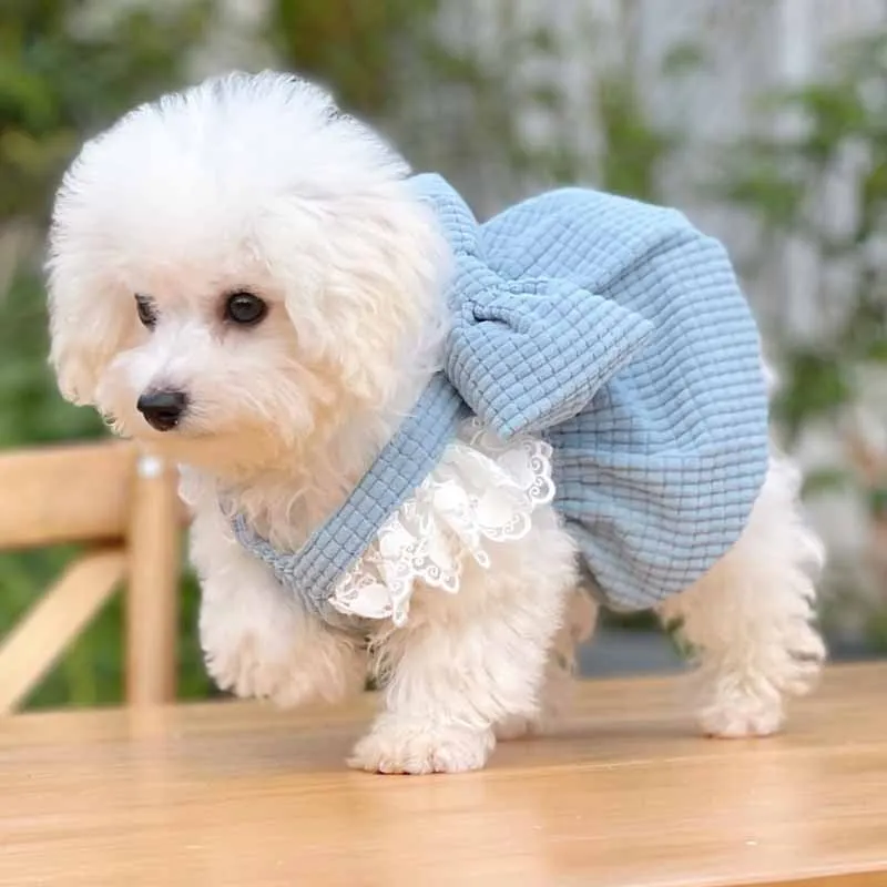 

Small Dogs Apparel Cute Cat Dog Dress Shih Tzu Schnauzer Puppy Clothes Chihuahua Pomeranian Yorkshire Poodle Bichon Clothing