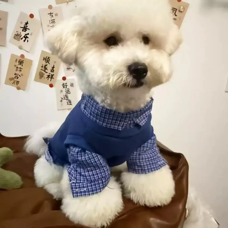 Dog Clothes for Spring and Autumn Vacation, Two-piece Pullover Pet Hoodie, Small Dog