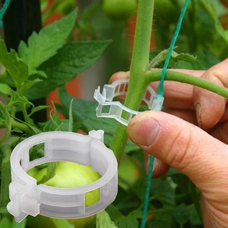 Tomato Fruit Tree Branches Garden Strengthen Fixing Tools Stalk Strengthening Retaining Support Clip Gardening Anti-break Holder