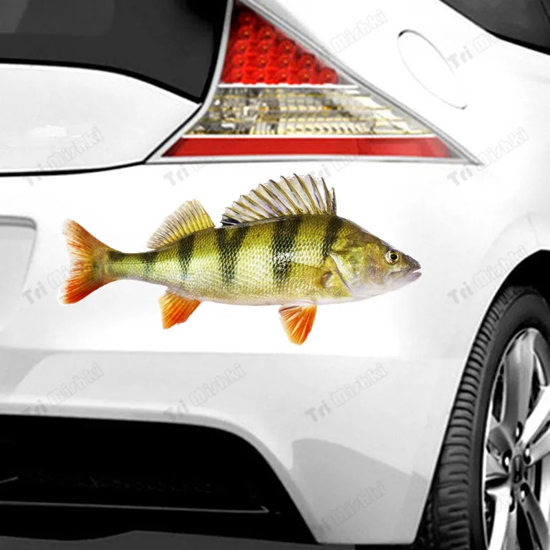 Tri mishki W1115 3D Fish River Perch Car Sticker PVC Decals Motorcycle Accessories sticker on Car Truck Bumper Laptop Fridge