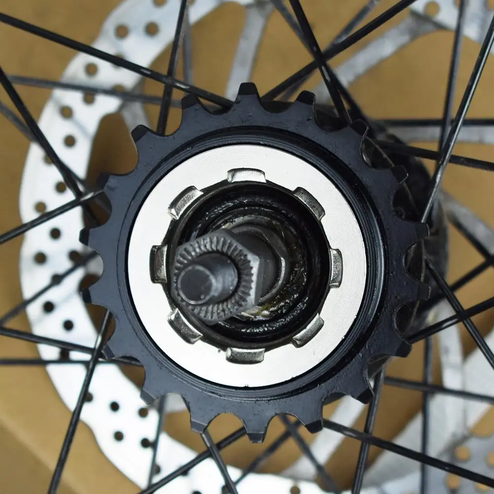 18T Single Speed Freewheel with 1.375 Inch Thread Pitch and Stainless Steel Construction for Standard Bike Rear Hub Mounting