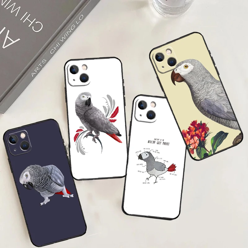 African Grey Parrot… - image