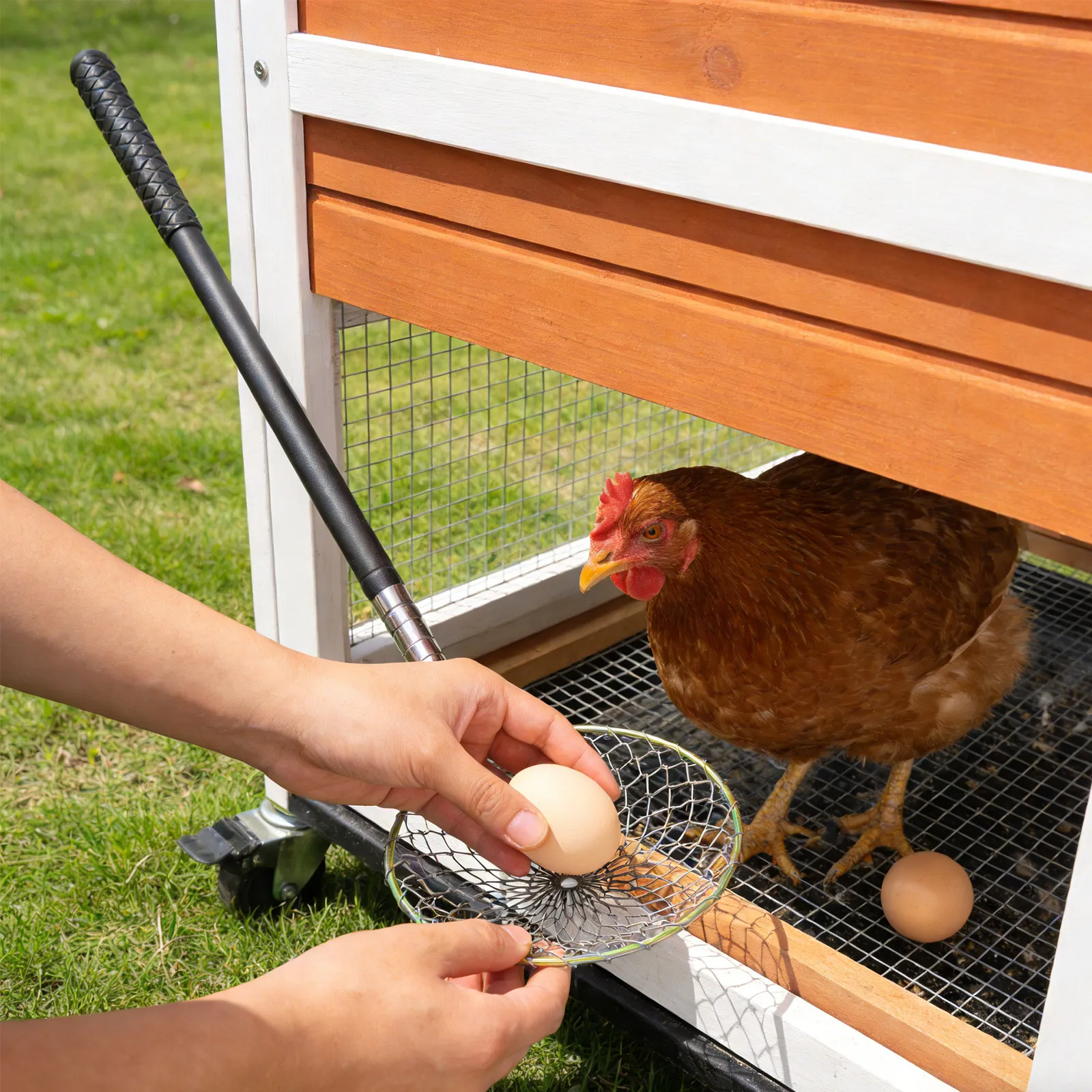 Expandable Egg Picker Net with Long Handle for Coop Cleaning Harvesting Nest Run Collection Basket Tool