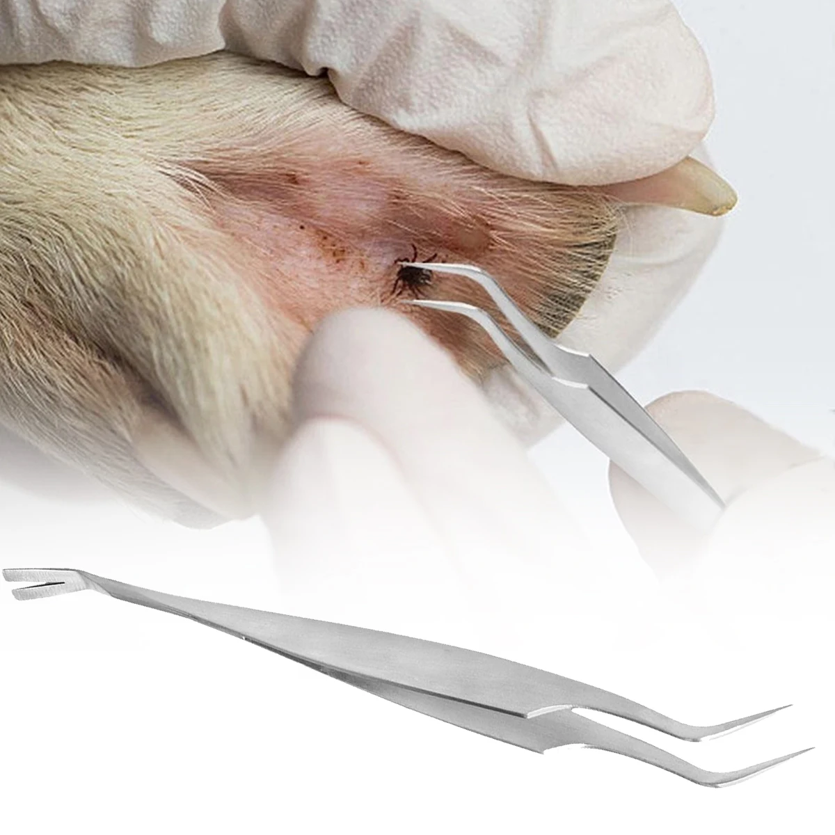 

Multifunctional Pet 2-in-1 tick removal tool professional tick removal tweezers suitable for humans pet fleas tick removal tools