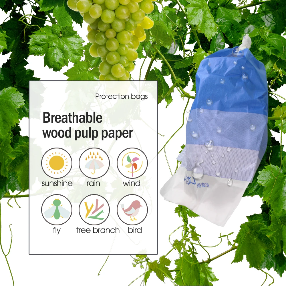 Orchard Grape Protection Bags Tricolor Paper Anti-Pird Pest Control for Fruits Cultivating Grow Protect Cover Wodoodporne woreczki