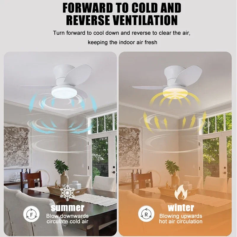 led socket fan light ceiling fan with light casa inteligente  ventilatore da soffitto con luce de techo con luz silenciosos cold