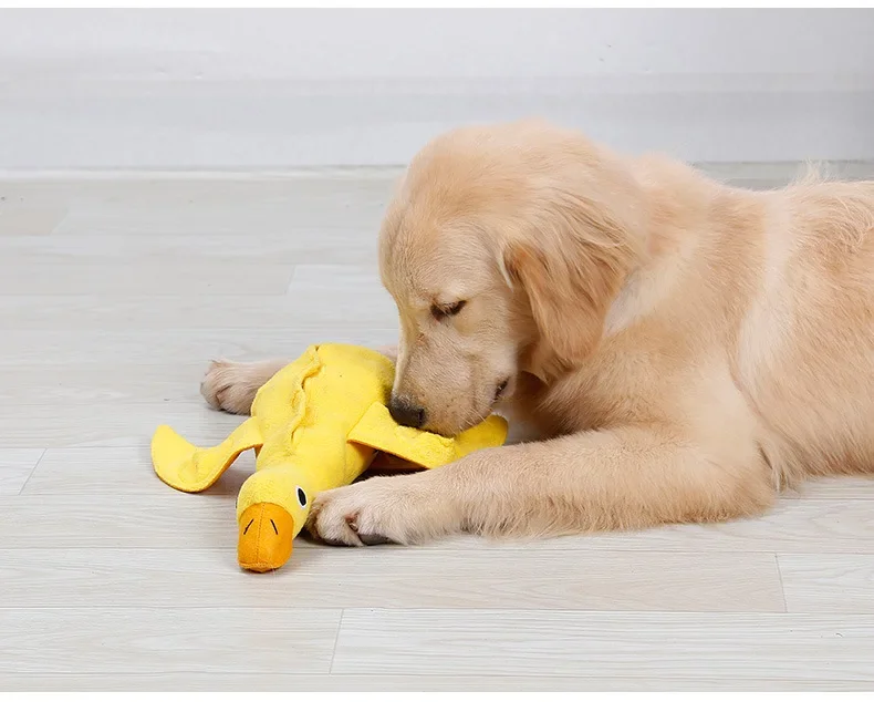 Quacky Delight Snack Dispenser - Squeak Toys for Puppy Training, Interactive Play, Mental Stimulation - Durable, Easy-to-Clean