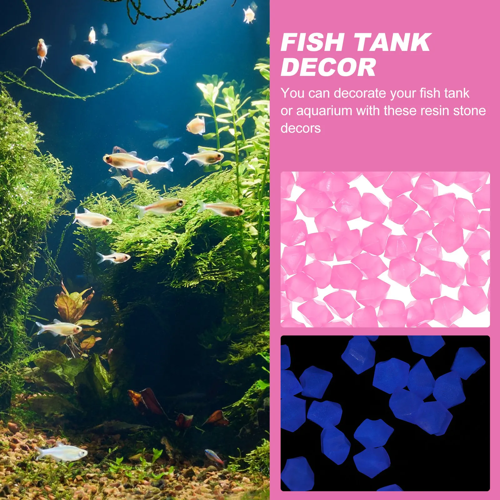300 Adet Karanlıkta Parlayan M - Aquarium Fish That Glow In The Dark incelemesi ve fiyatı