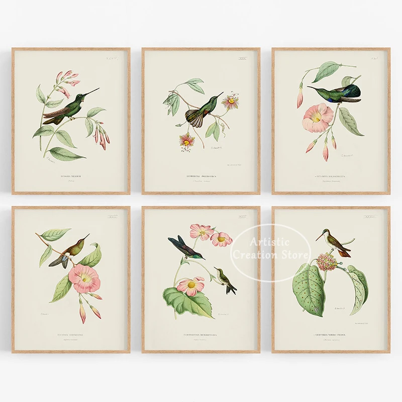 Affiche d'art d'oiseau Vintage, imprimés de colibri et de fleurs, peinture sur toile, tableau mural d'art botanique, décoration de salon, de maison, cadeaux