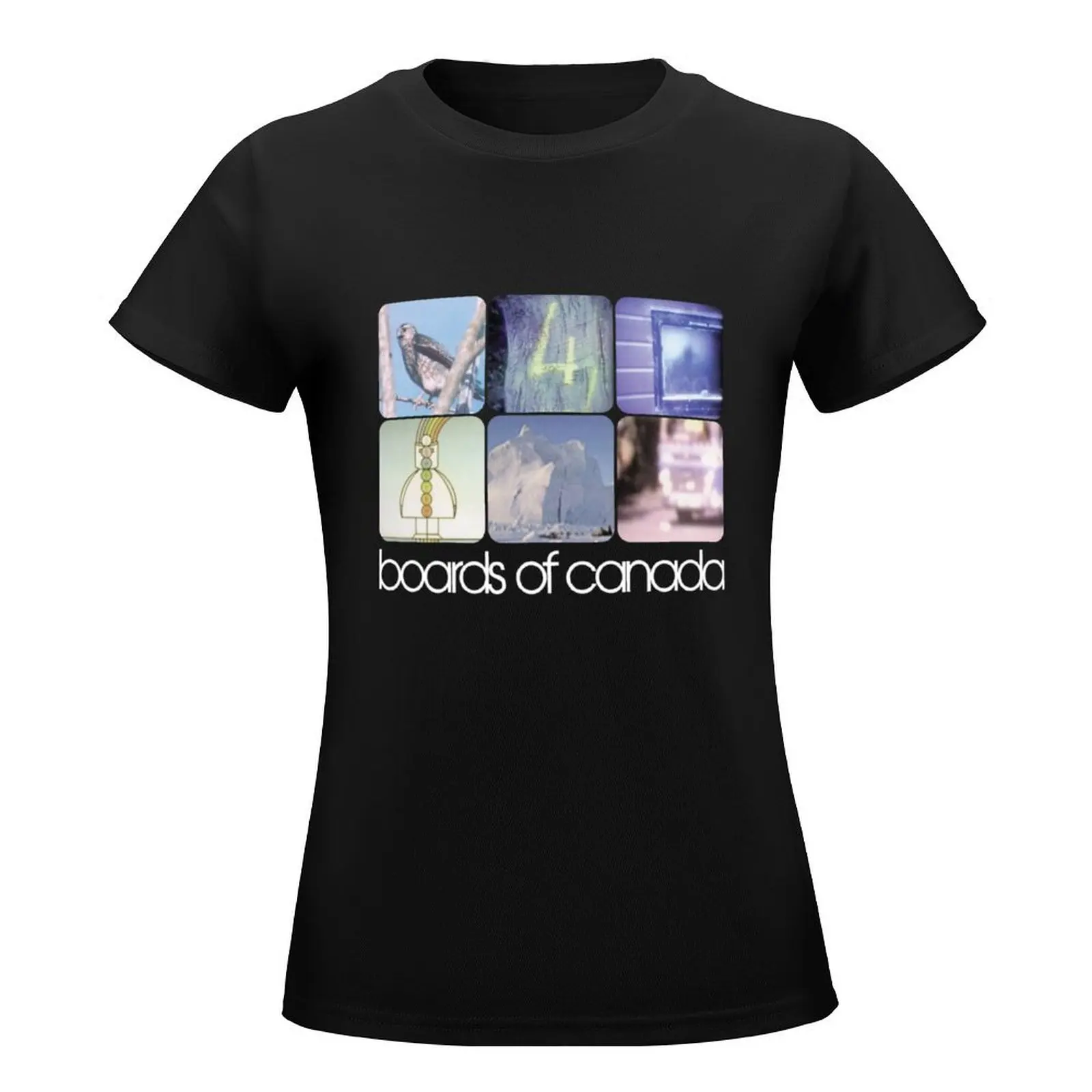 Boards of Canada In A Beautiful Place Out In The Country T-Shirt heavyweights summer top Women clothing