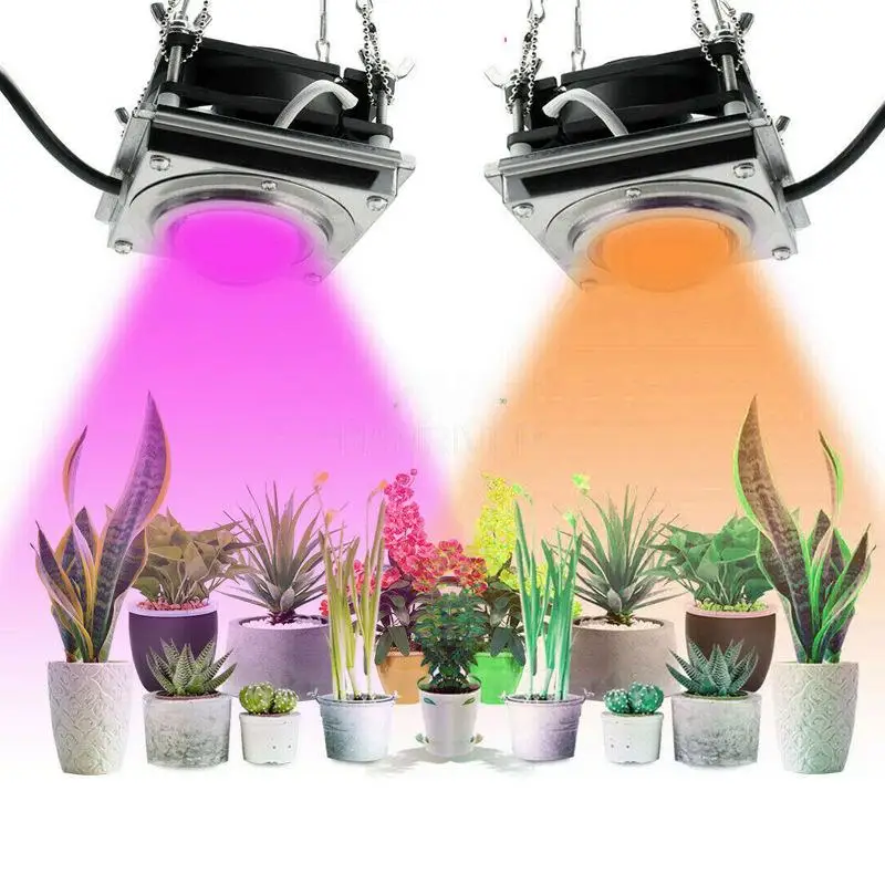 New full-spectrum COB plant growth light 50W/60WLED plant vegetable planting succulent fill light