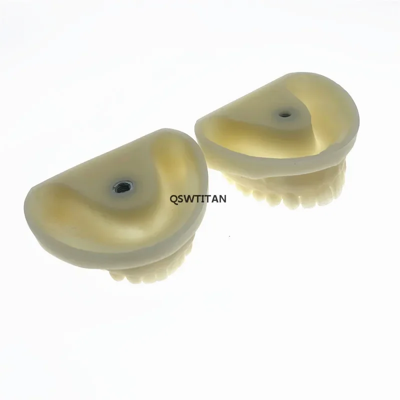 Preparation dental cast mold resin dentistry teaching practice model teeth mode