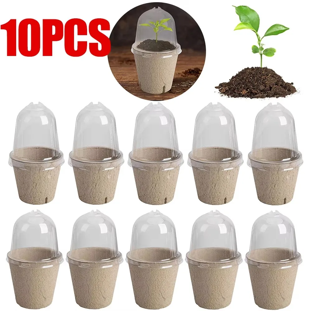 10pcs Transparent Lid Round Peat Pots Biodegradable Eco-friendly Seedling Starters Cups Planting Tools Fibre Paper Nursery Pots