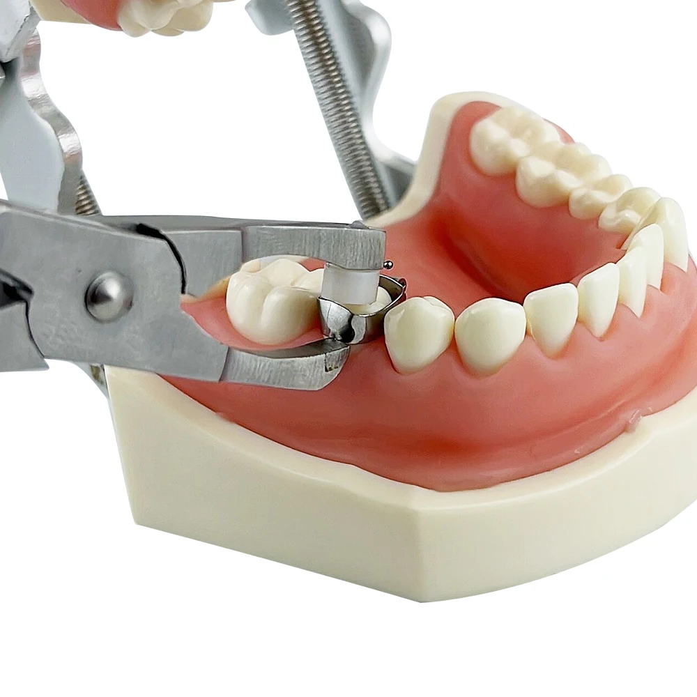 Dental aparat ortodontyczny usuń szczypce pierścień pasa tubka dentystyczna zespół usuwania szczypce do usuwania kleszcze zacisk dentysta Instrument