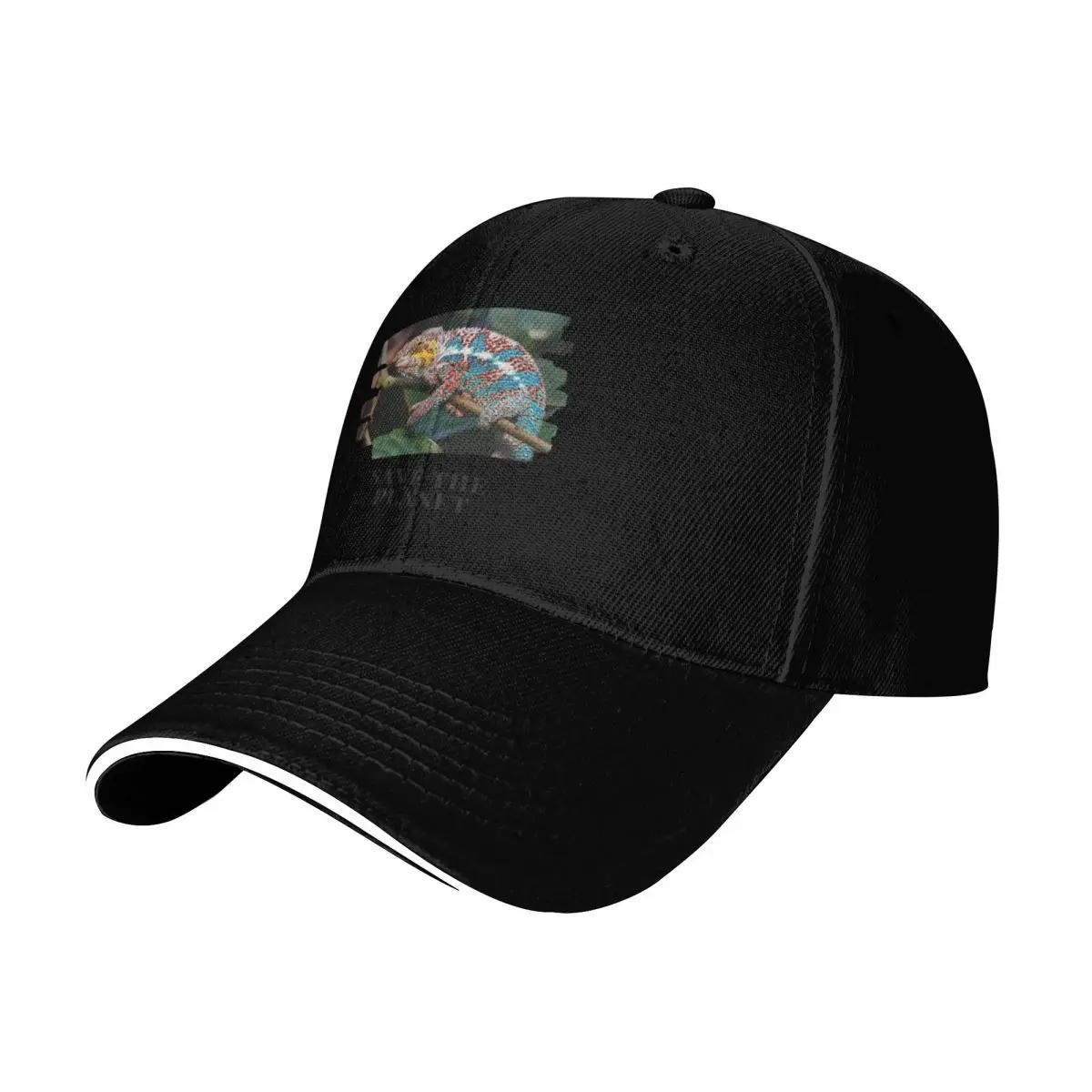 Hello From the Wild Chameleon. Save the Planet! Baseball Cap Men Women Casual Summer Sport Sun Cap