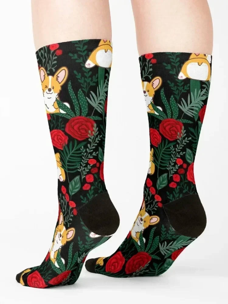 Рисунок 4 - Корги в саду Носки свободные для