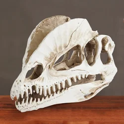 Resin Dinosaur Skeleton Aquarium Decoration Dinosaur Skull Skeleton Ornament Fish Tank Terrarium Decor Halloween Decoration