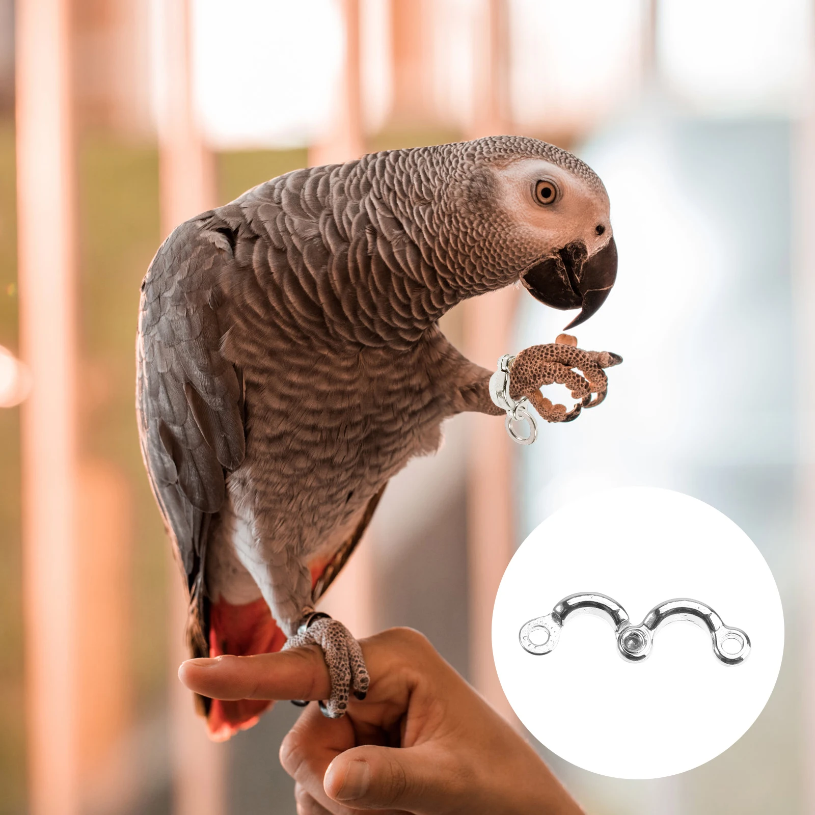 

6pcs Stainless Steel Parrot Foot Rings Lightweight Rust Resistance Premium Material Safe Bird Flight Simple Installation