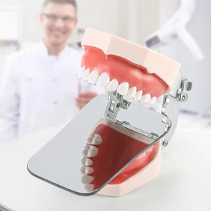 10 최고의 판매 아치 미러 전체 길이 - №3