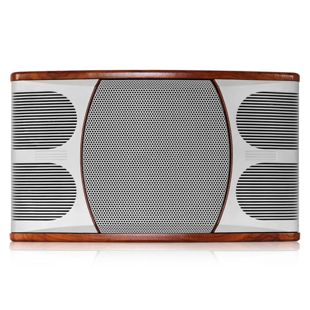 K-750 10-Inch 200W Two-Way Karaoke Audio Speaker for KTV Bars and Sound Equipment view 2