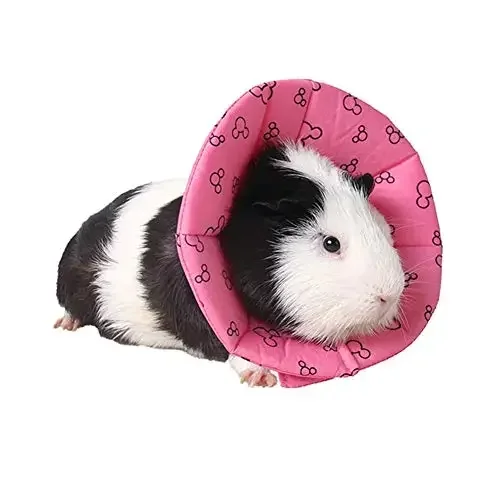 Dog Cone Hamster Recovery Collar Protection Cone After Surgery, Small Animals Adjustable Protection Collar For Rat Bird Rabbit Guinea Pig, Anti-Lick Anti-bite Pet Elizabeth Collar (Light Grey, L Dog Donut Collar After Dog Cone Hamster Recovery Collar Protection Cone After Surgery, Small Animals Adjustable Protection Collar For Rat Bird Rabbit Guinea Pig, Anti-Lick Anti-bite Pet Elizabeth Collar (Light Grey, L Dog Donut Collar After