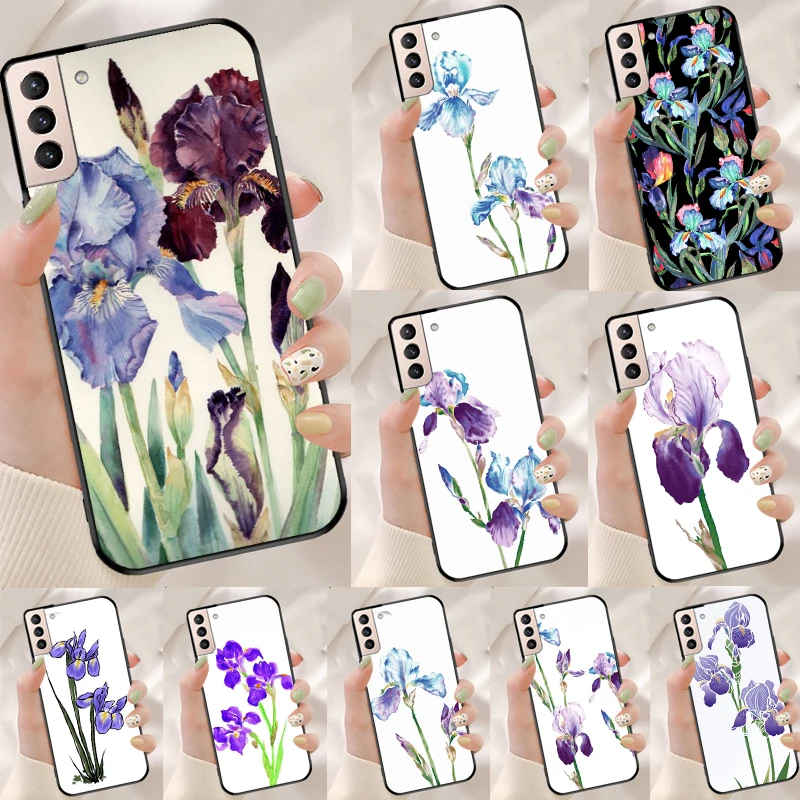 Iris Purple Flower … - image