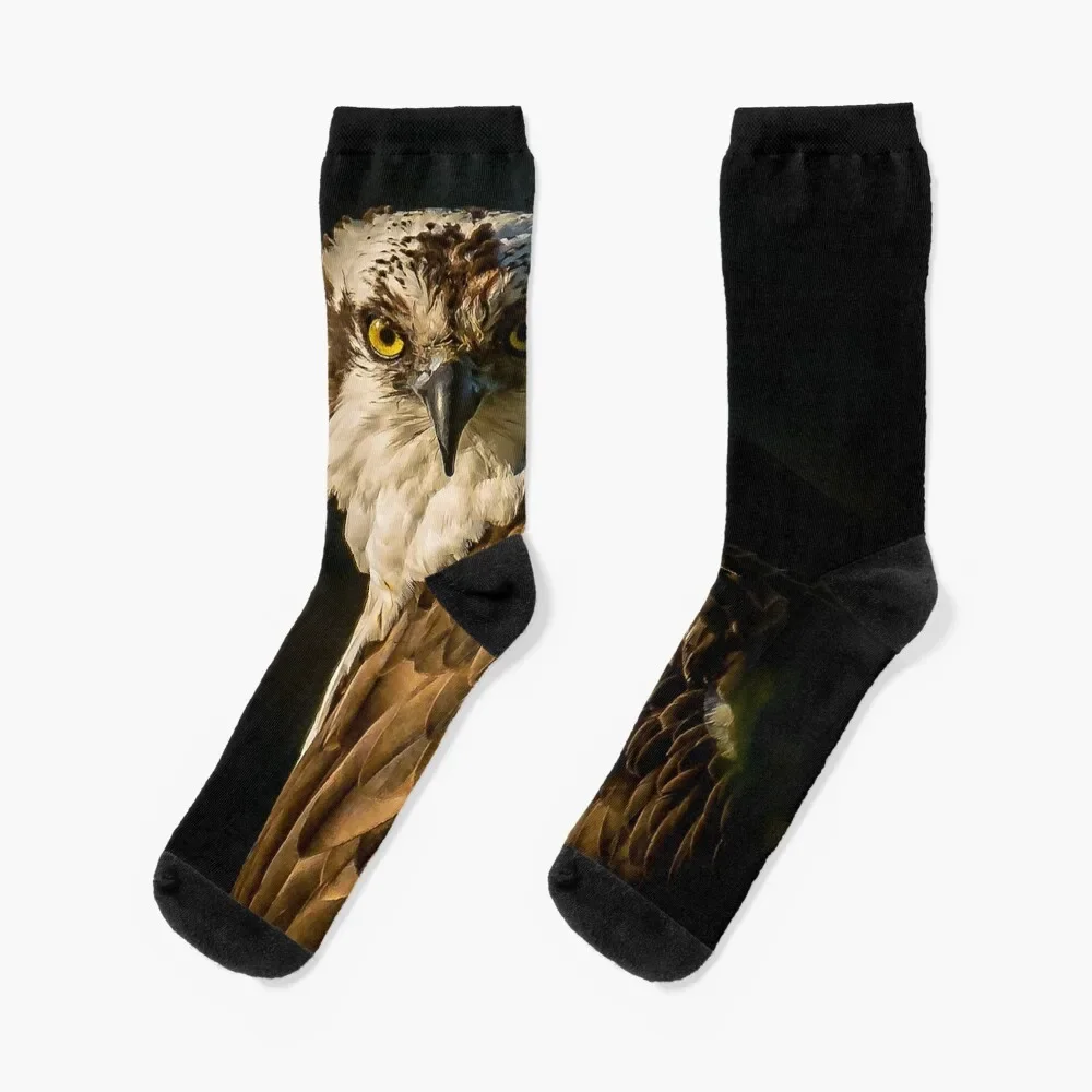 

I see you! Socks with print sports and leisure Men Socks Luxury Brand Women's