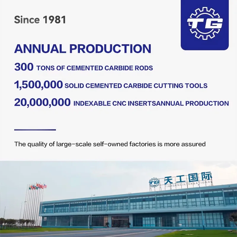 TG H30 + -S6/6 Фреза с плоской головкой и пазковым покрытием Высокоскоростной инструмент для обработки стали и высокой закалки H30 + Series