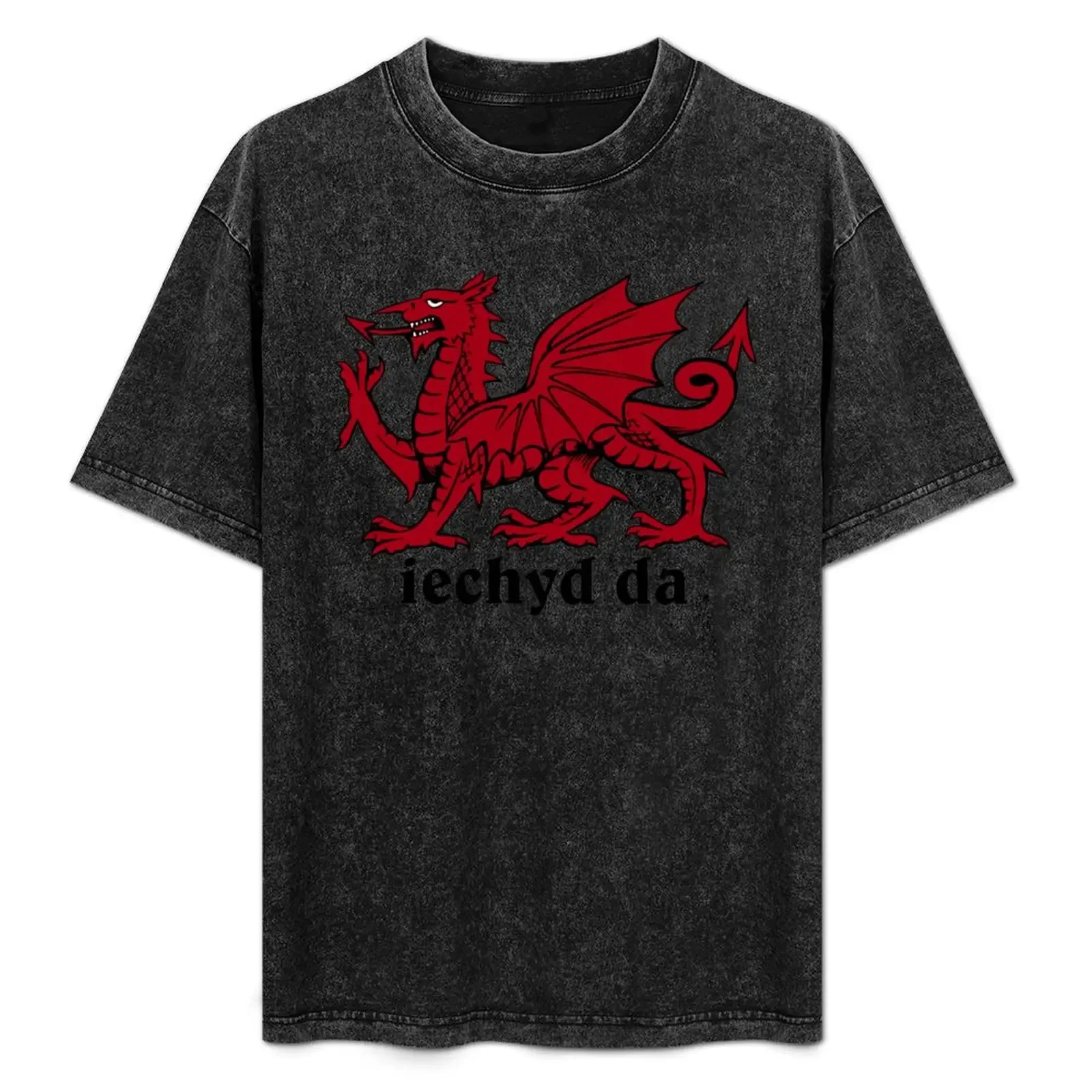 

Welsh Dragon T-Shirt t shirt man luxury t shirt man plain T-Shirt