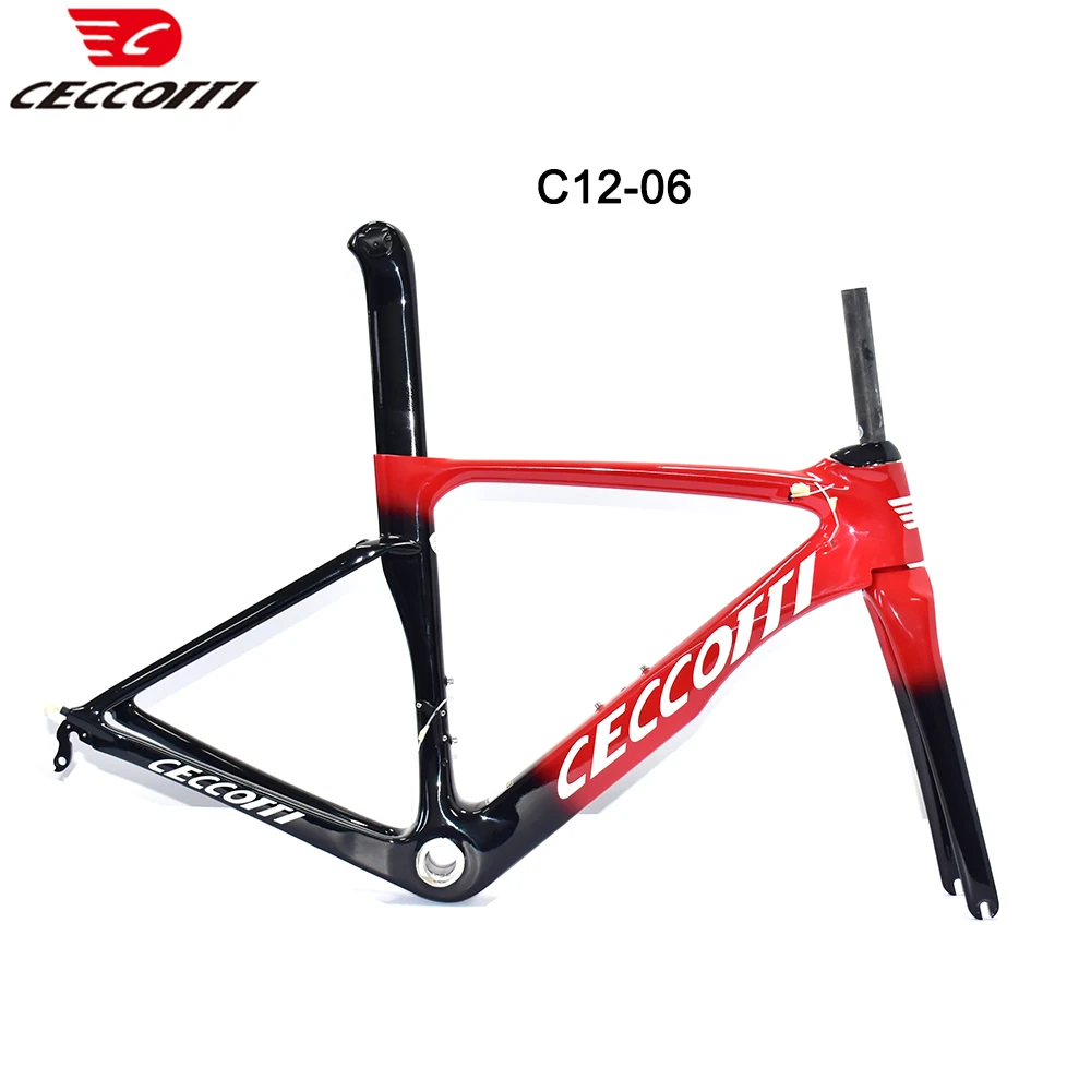Ceccetti: Scopri la Nuova Bicicletta da Strada in Carbonio CECCOTTI T1000