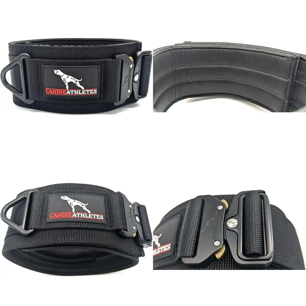 طوق كلب مبطن من النيوبرين من Canine Athletes 3 Venator، عريض جدًا، قوي (كبير جدًا) #1