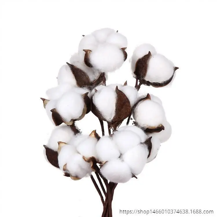 Small Cotton Sample Ginning Machine test Cotton China Seed Delinting Cleaning Extractor Machinery Cotton Ginning Machinery