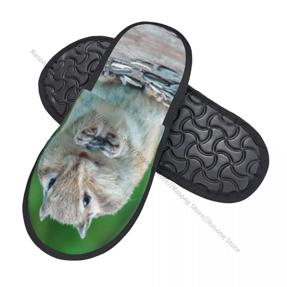 Fur Slipper For Women Men Fashion Fluffy Winter Warm Slippers Chipmunk Eating Sunflower Seeds House Shoes