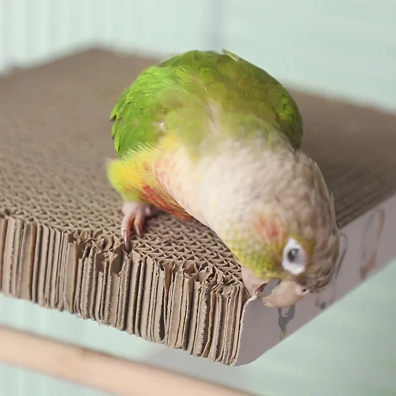 Thumbnail 3 - #18 Cheap Bird Supplies Worth Buying