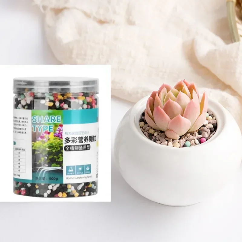 500g Granular Slow-release Compound Fertilizer Colorful Granular Fertilizer Special For Succulents Plants Home Gardening