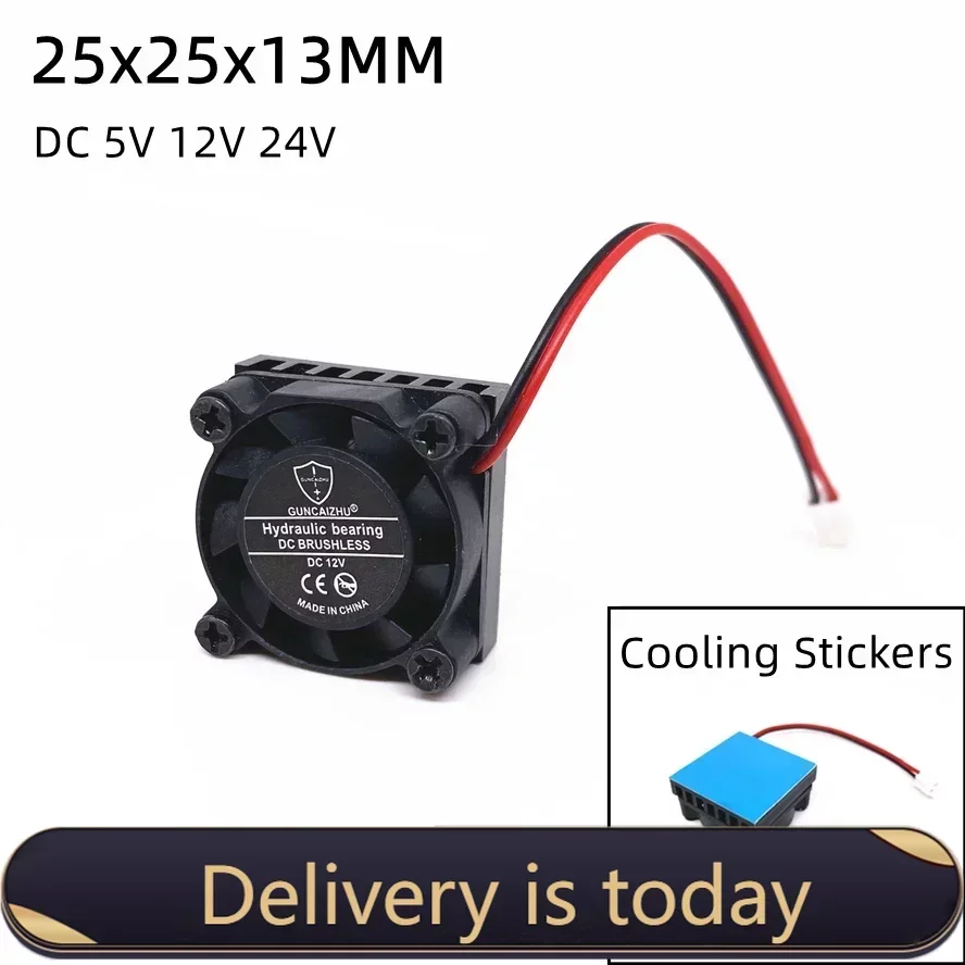 Ventilateur de refroidissement pour Raspberry Pi avec dissipateur thermique, 2507, 25mm, 25x25x13mm, DC 5V, 12V, 24V, m.2, SSD, 2 broches