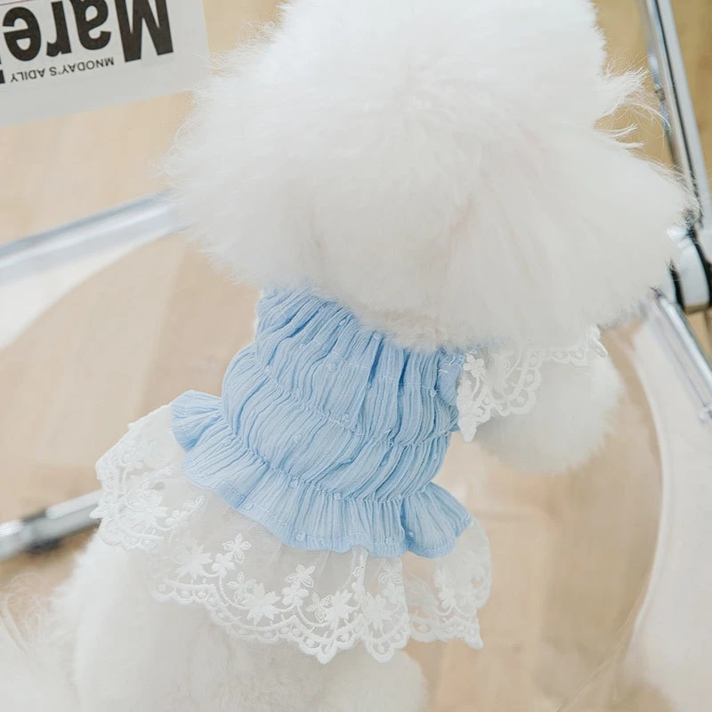 Cute Lace Dog Dress for Small Dogs, Chihuahua, Puppy Vest, Pet Skirt, French Bulldog Accessories, Clothing for Cat