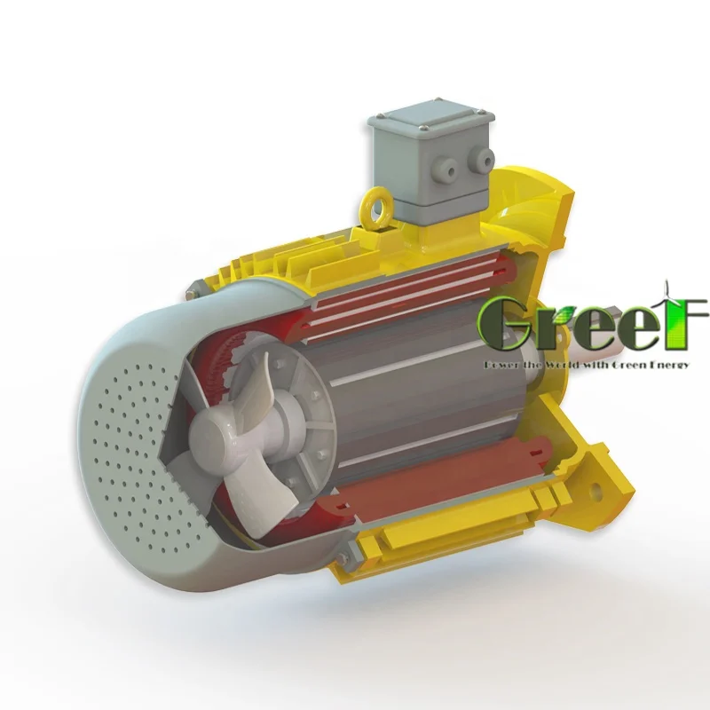 10kw 1Mw 400W Micro Hydroelectric Pelton Generator 10Kw