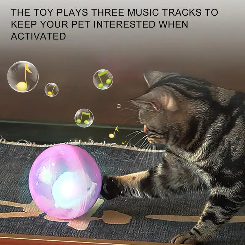 Interactive Cat Toys Automatic Rolling Ball USB Rechargeable Turtle Car Shape with Lights & Music for Indoor Exercise Play Games