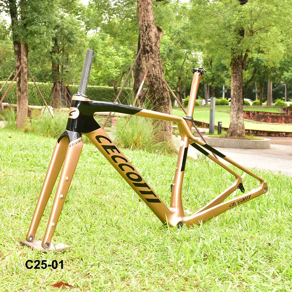

Carbon Frame Gravel Bicycle with Full Hidden Cable, Cyclocross Racing Disc Brake Bike