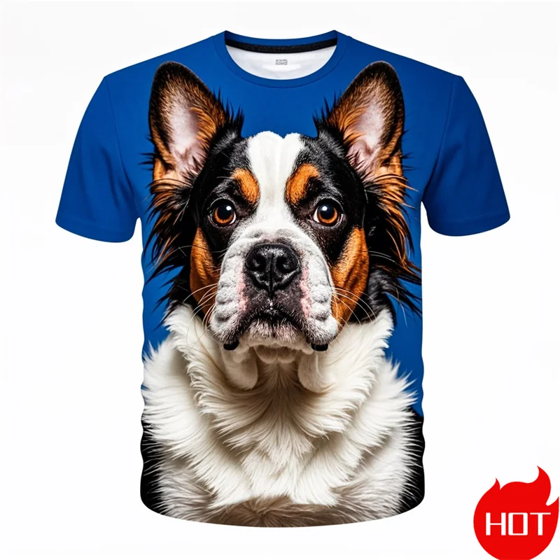 

Fashion 3D Printing Cute Doge Boston Terrier T Shirt Kid Funny Streetwear Short Sleeves Unisex Harajuku Tee Shirts Mens Clothing