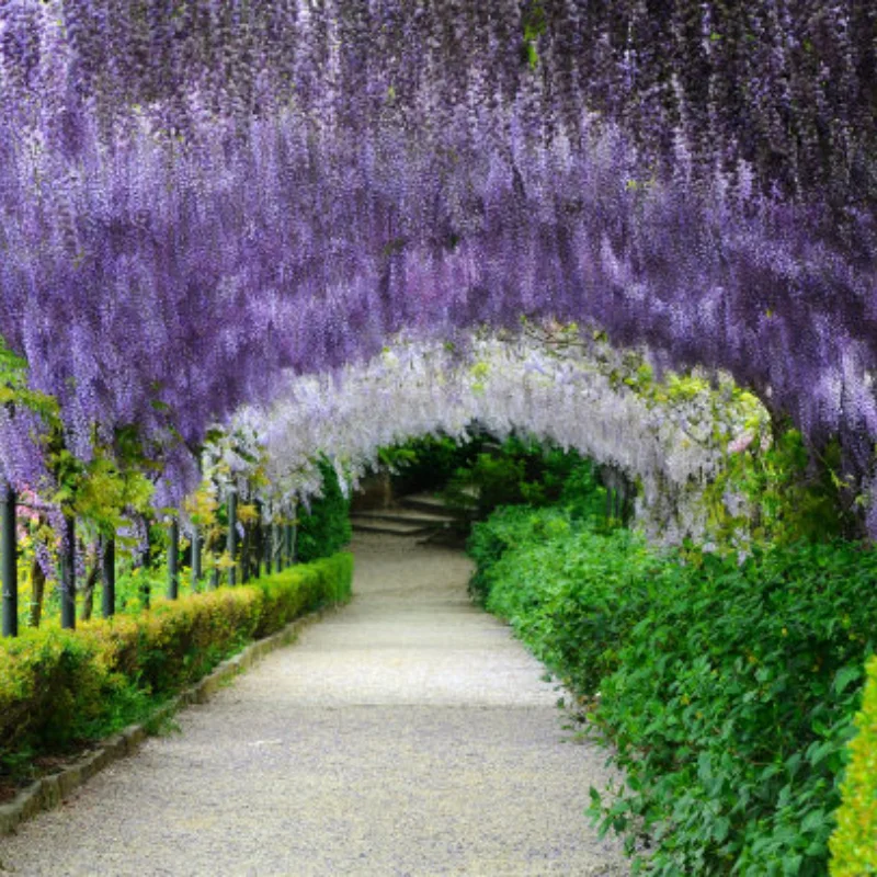 

Алюминиевый сплав, обработанный на станке с ЧПУ, передняя и задняя портальная ось, набор «сделай сам» для 1/12 MN MN82 LC79 MN78, радиоуправляемая автомобильная деталь, аксессуары для радиоуправляемых автомобилей