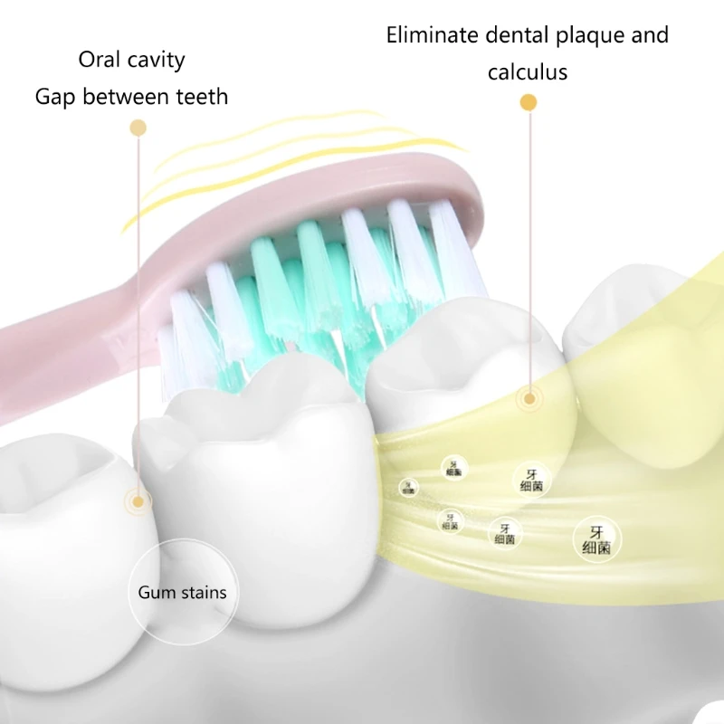 Escova Dentes Elétrica Ultrassônica Com Cabeças Substituição Set, AA Alimentado Por Bateria, 5 Modos Cuidado, 3 Escovas