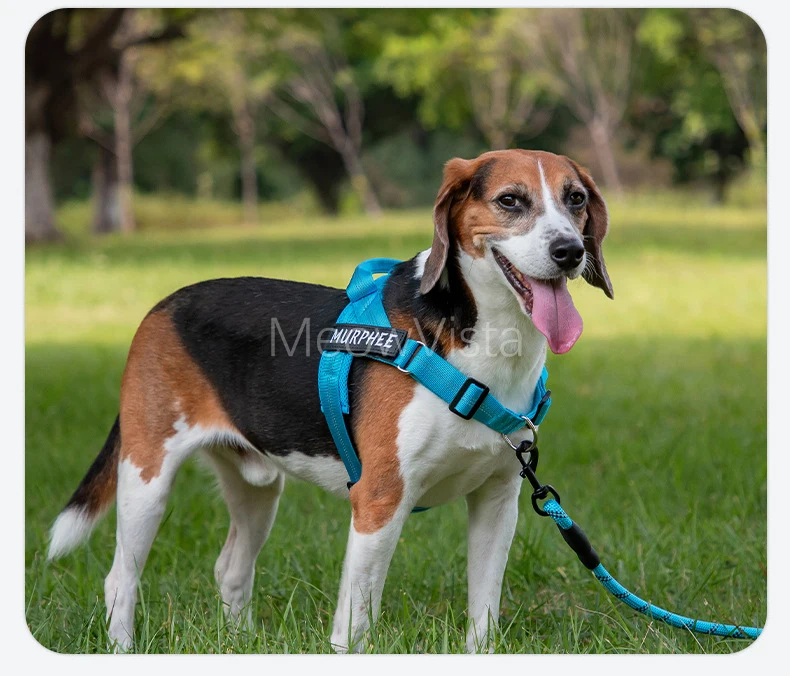 Personalized No Pull Dog Harness with Name Patch Escape-Proof Adjustable Reflective Soft Padded Dog Vest for Training Walking