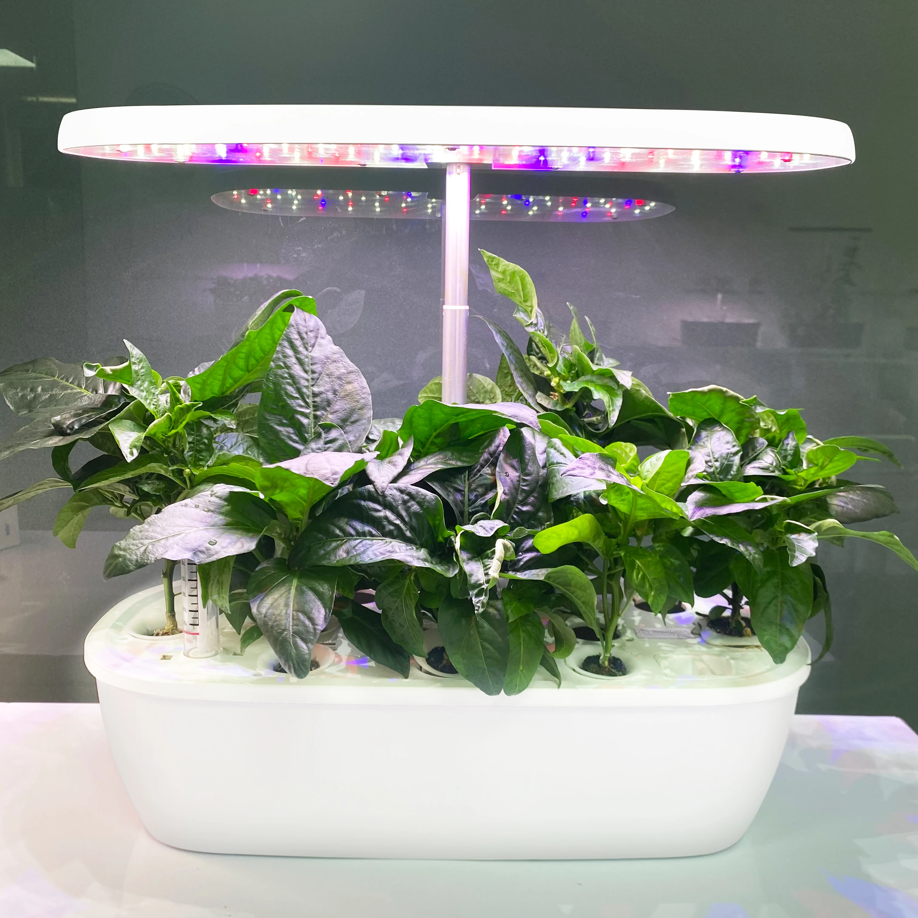 Smart Electronic Indoor Hydroponic Garden System High-Class Home Design Own Hydroponic Growing Systems