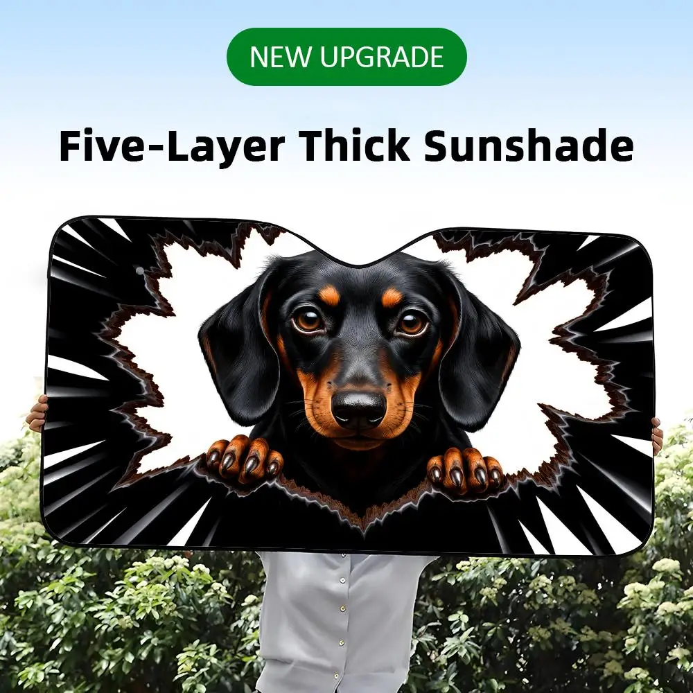 A five-layer thick car windshield sunshade with a realistic 3D peekaboo torn paper graphic print of a Dachshund dog.