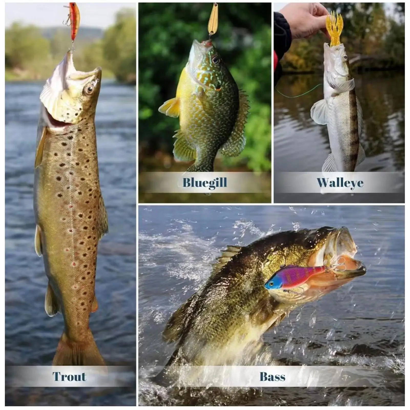 calendrier-de-peche-de-l'avent-2025-24-jours-ensemble-d'appats-pour-poissons-kit-d'appats-de-peche-de-noel-calendrier-de-compte-a-rebours-pour-hommes-garcons-mari-et-pere