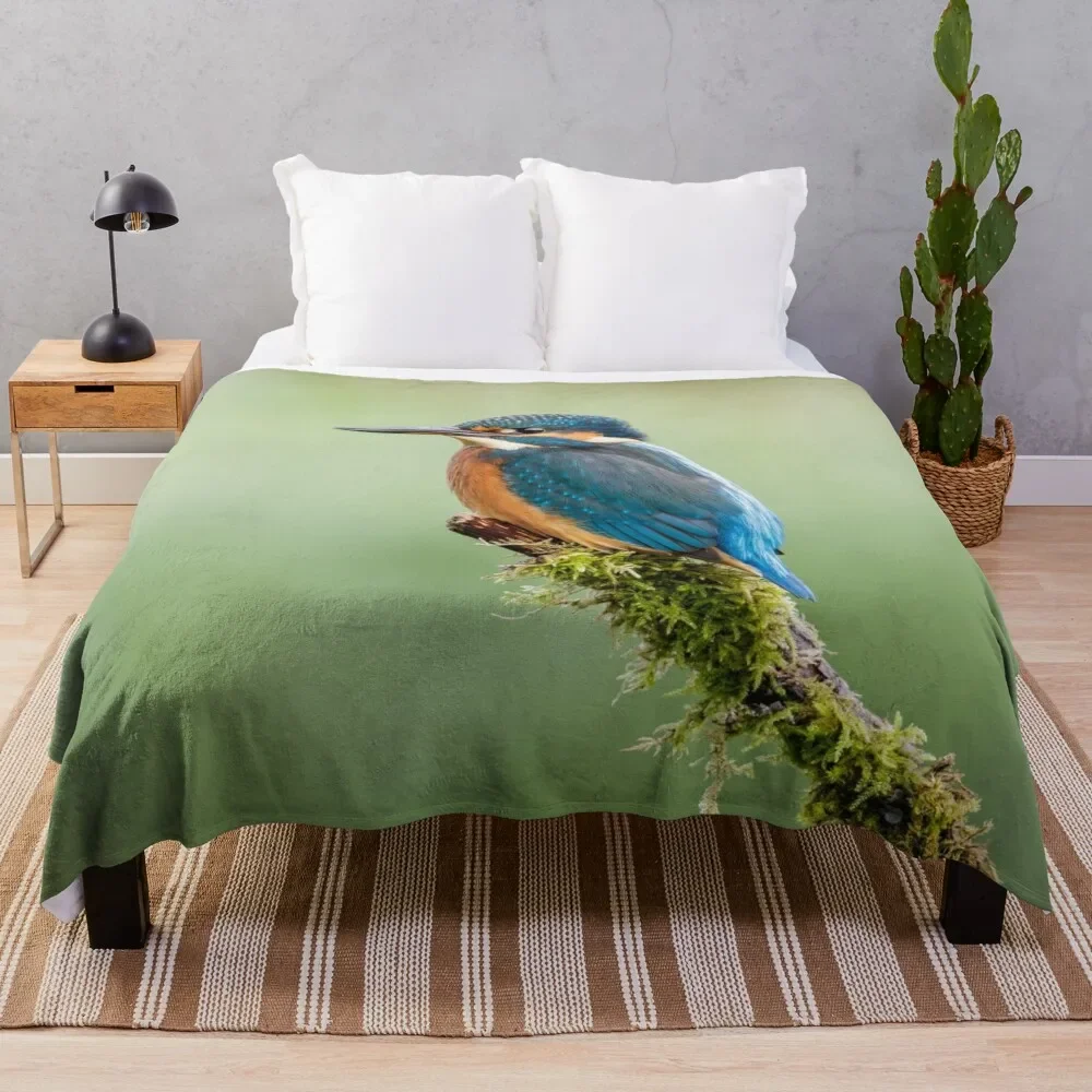 Kingfisher Perched Throw Blanket Camping heavy to sleep Luxury Brand Blankets