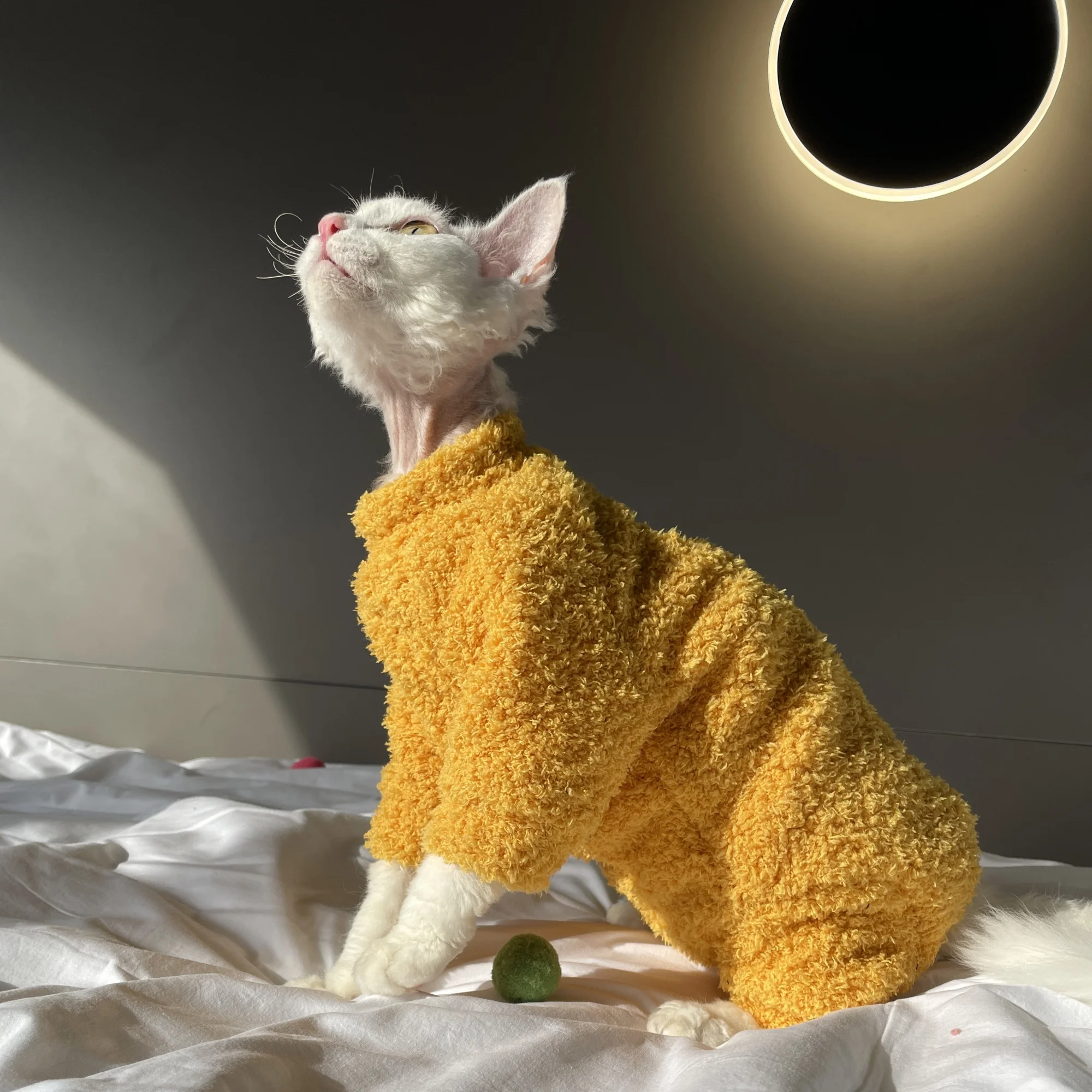 Winterwarmer 4-beiniger Plüsch-Sweatshirt-Hutanzug für Devon Rex im Winter, weicher gelber roter Pullover für Sphynx-Katze, Kätzchen, Khaki-Mantel – Detail 6